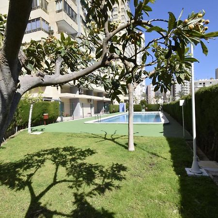 Mariscal 4 - Fincas Arena Бенідорм Екстер'єр фото